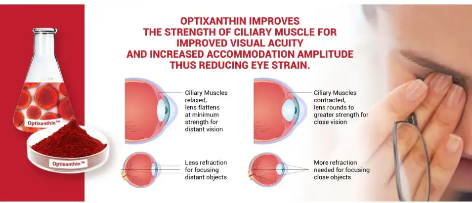 Astaxanthin powder protect vision