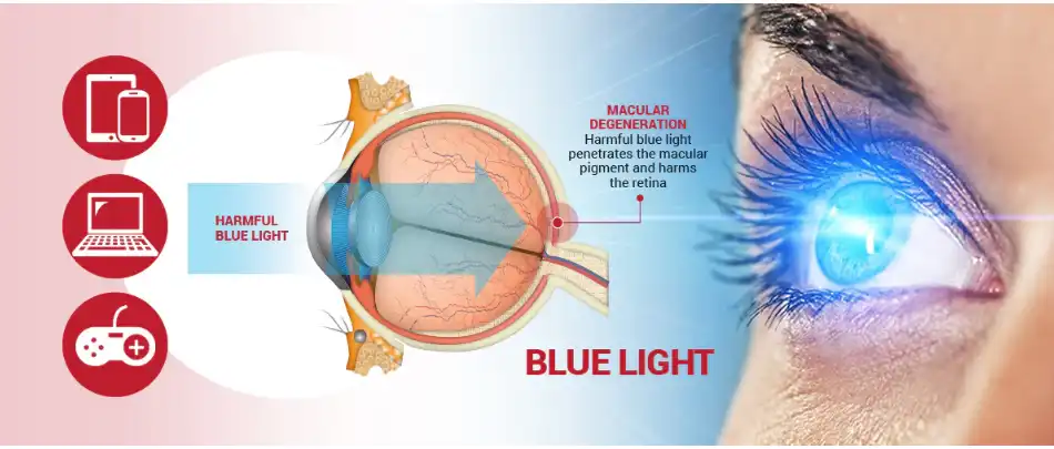 Astaxanthin powder protect vision