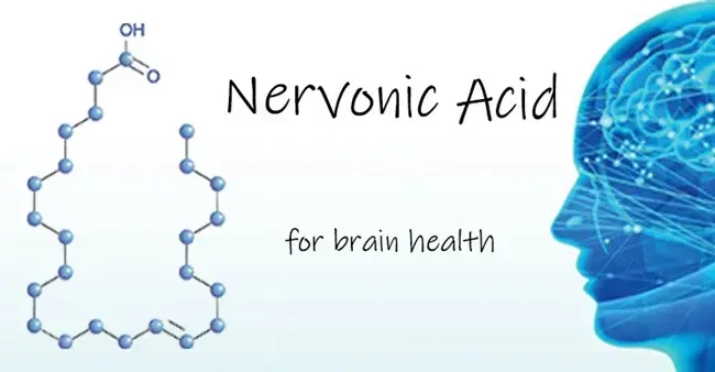What is the antioxidant role of Nervonic Acid Powder in oxidative stress? 