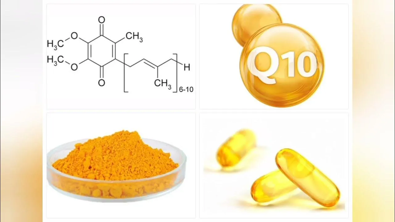 Why pair Coenzyme Q10 Powder Bulk with vitamin E and C for synergy? Why pair Coenzyme Q10 Powder Bulk with vitamin E and C for synergy?