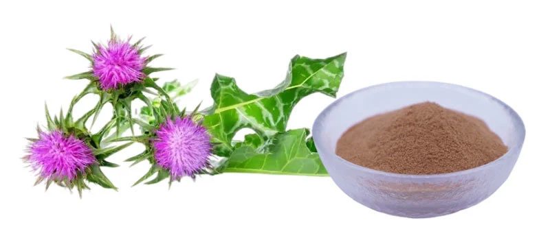 Where to Buy High‑Purity Silymarin Powder Online & Wholesale？