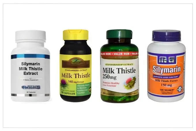 Milk Thistle Extract Powder Uses in Supplements and Functional Foods