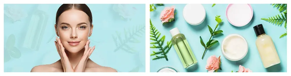 Palmitoylethanolamide Bulk Powder Function & Application Palmitoylethanolamide Bulk Powder Function & Application