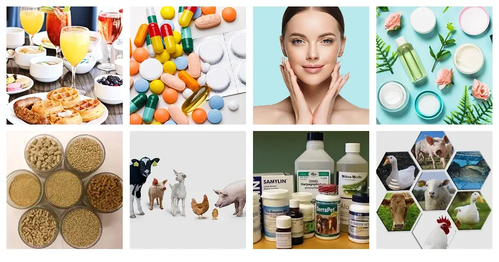 Uridine Powder Function & Application