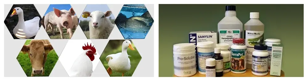 Cytidine Powder Function & Applications