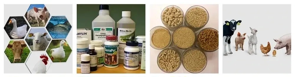 Marbofloxacin Powder Function & Application Marbofloxacin Powder Function & Application