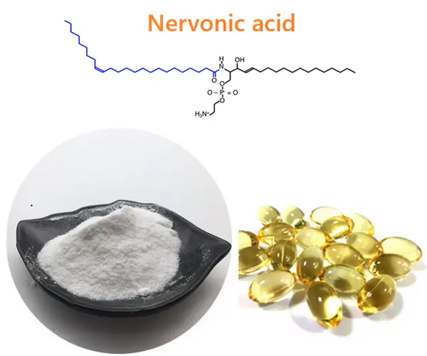 Nervonic Acid Powder Product Description