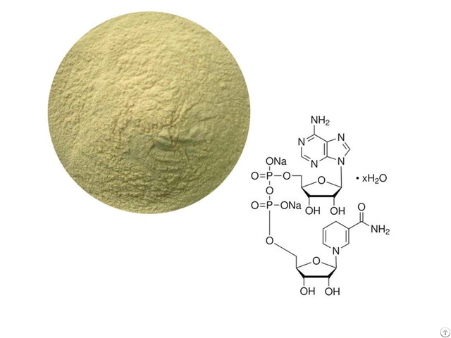 NADH powder Product Description NADH powder Product Description