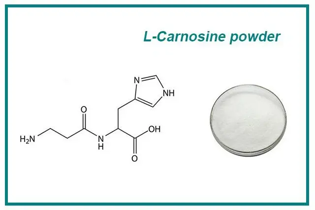 L-Carnosine Powder Product Description