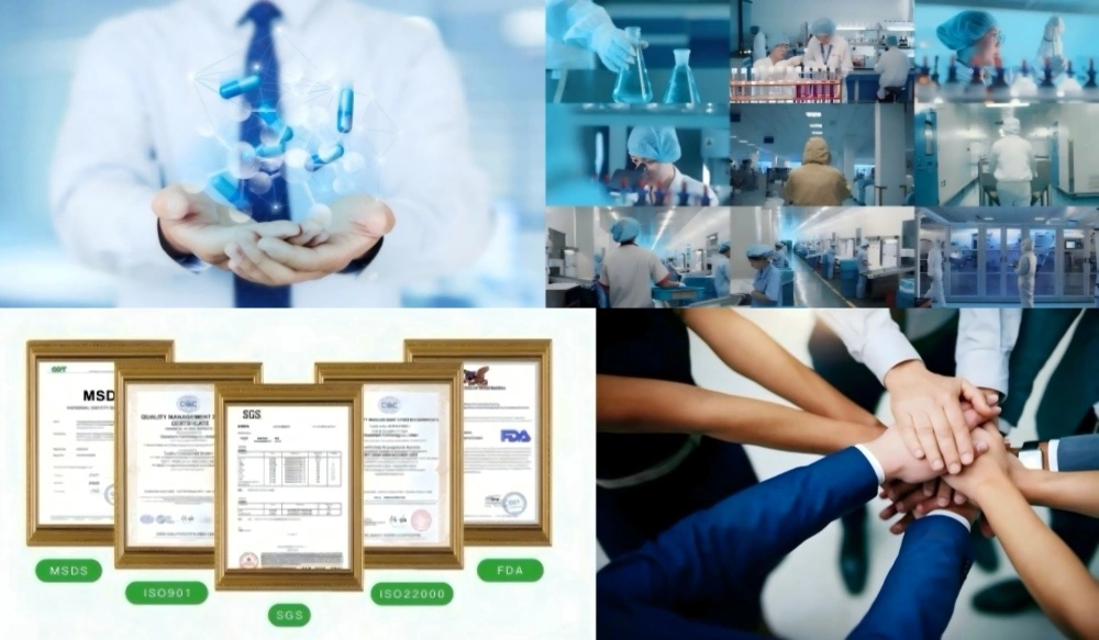 L-Carnosine Powder Factory L-Carnosine Powder Factory