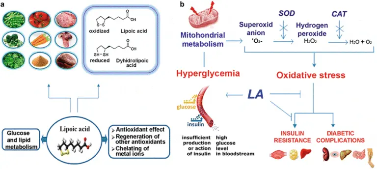 Alpha Lipoic Acid Bulk Powder Product Description Alpha Lipoic Acid Bulk Powder Product Description