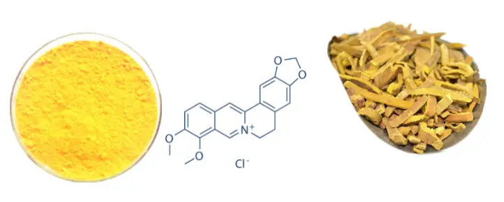 Berberine Chloride Powder Product Description Berberine Chloride Powder Product Description