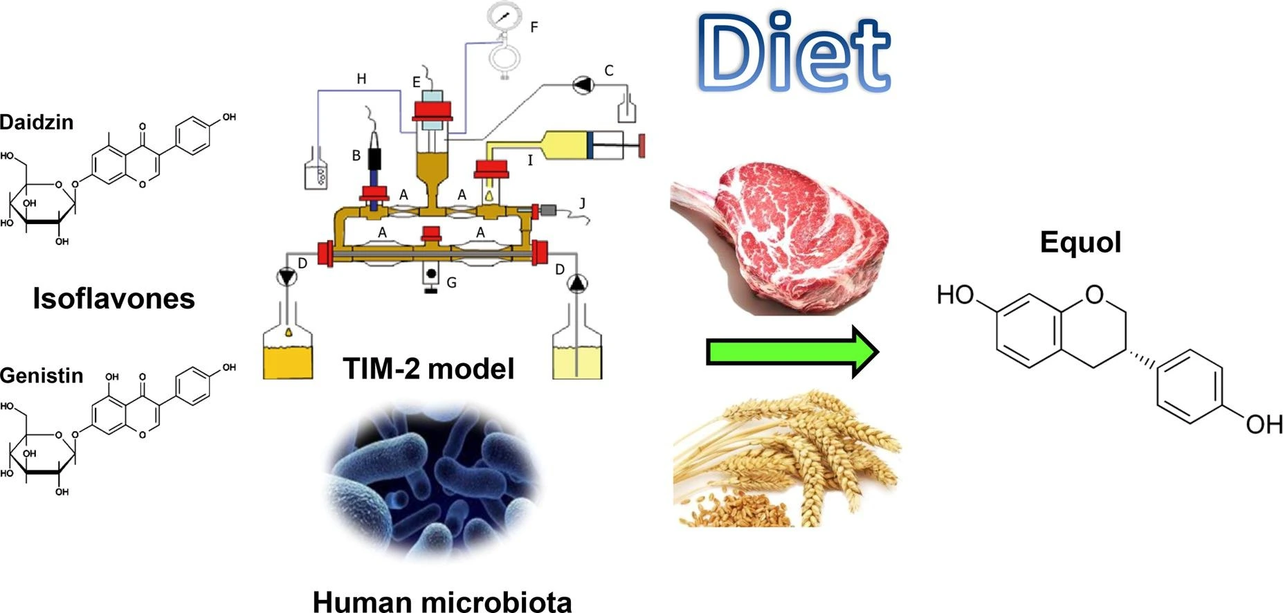 Equol Powder Product Description Equol Powder Product Description
