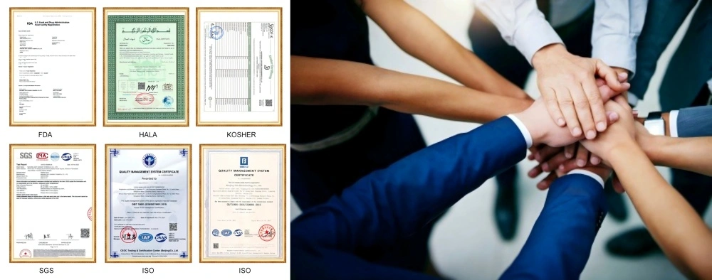 Dihydromyricetin Powder Manufacturer