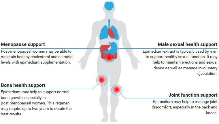 Epimedium Extract Powder Product Description