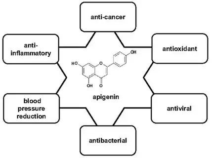 Apigenin Bulk Powder Product Description