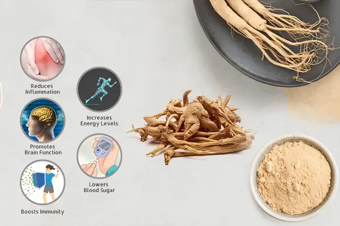 Ginseng Root Extract Powder Function & Application