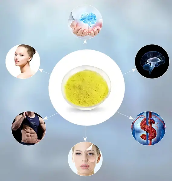 Fisetin Extract Powder: