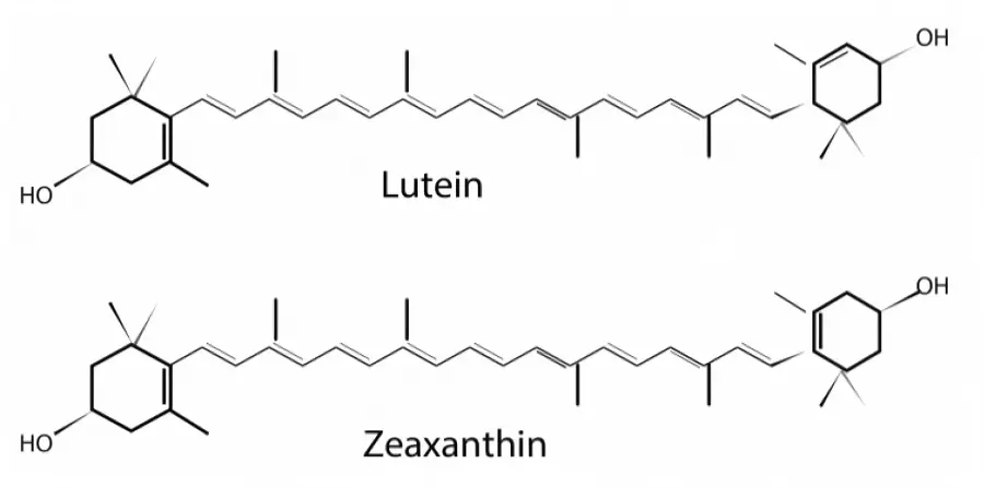 Zeaxantin Powder Zeaxantin Powder