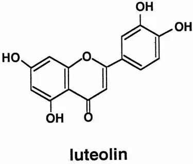 Lutein Powder