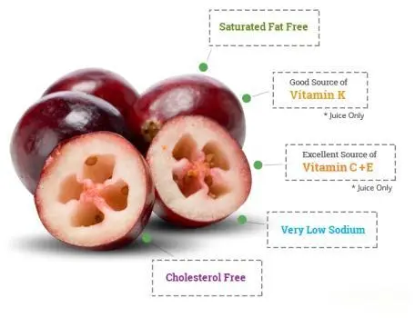 Cranberry Fruit Extract Powder Product Description