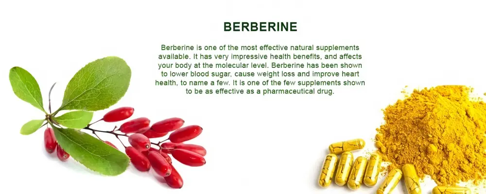 Berberine Hydrochloride Powder Product Description
