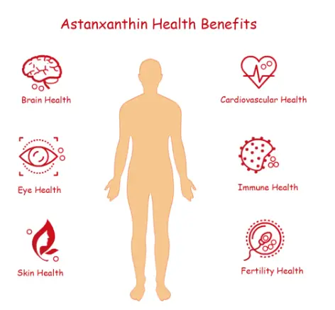 Astaxanthin Powder Description Astaxanthin Powder Description