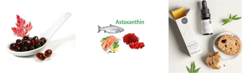  Haematococcus Pluvialis Oil Function & Application