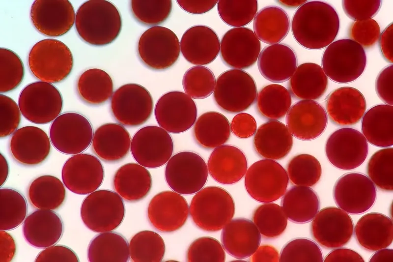  Haematococcus Pluvialis Oil Product Description