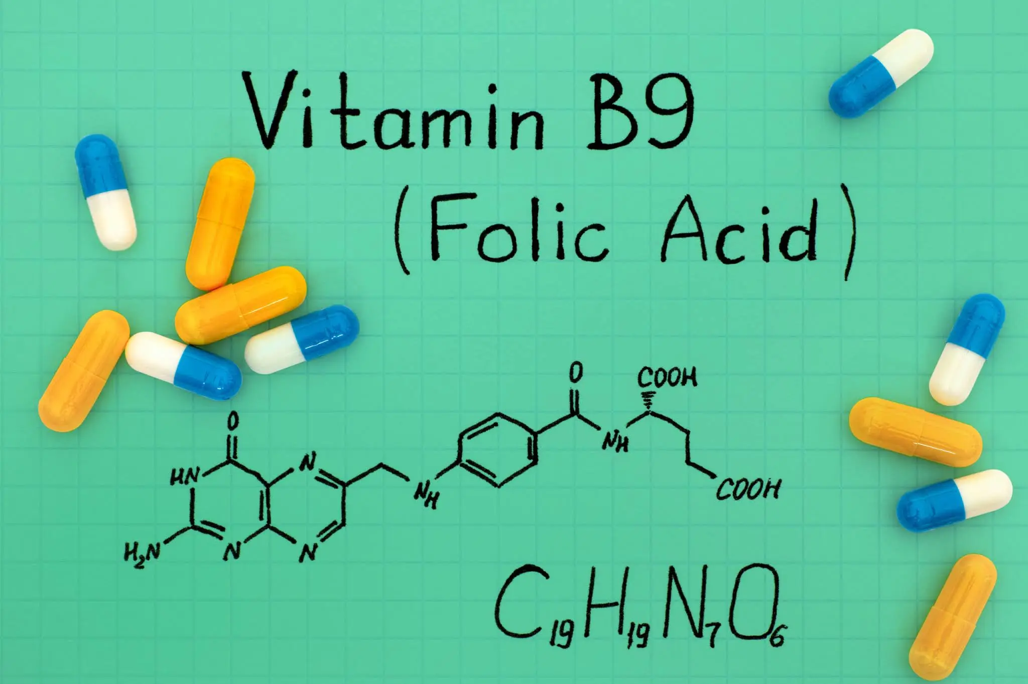 Folic Acid Powder