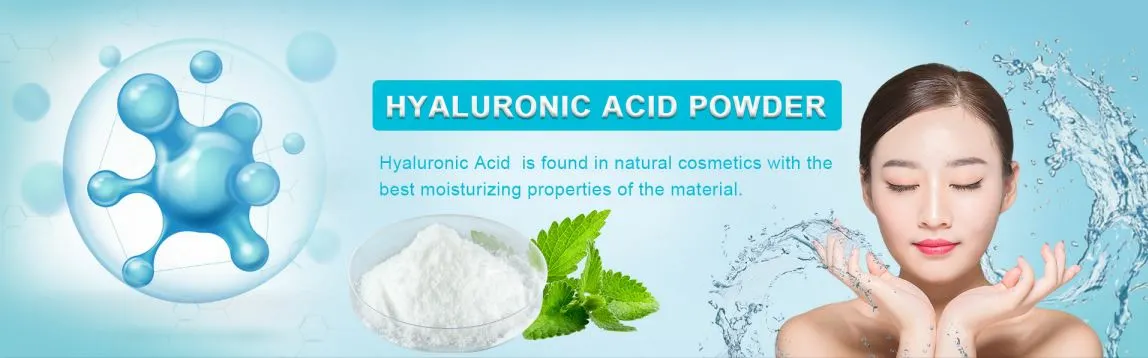 Premium Hyaluronic Acid Powder Product Description Premium Hyaluronic Acid Powder Product Description