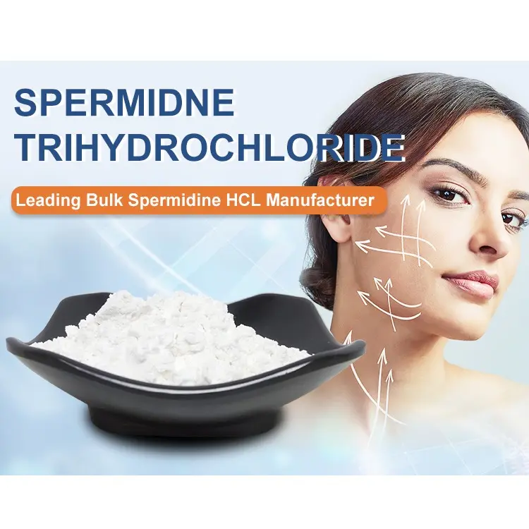 Spermidine Trihydrochloride Powder Product Description