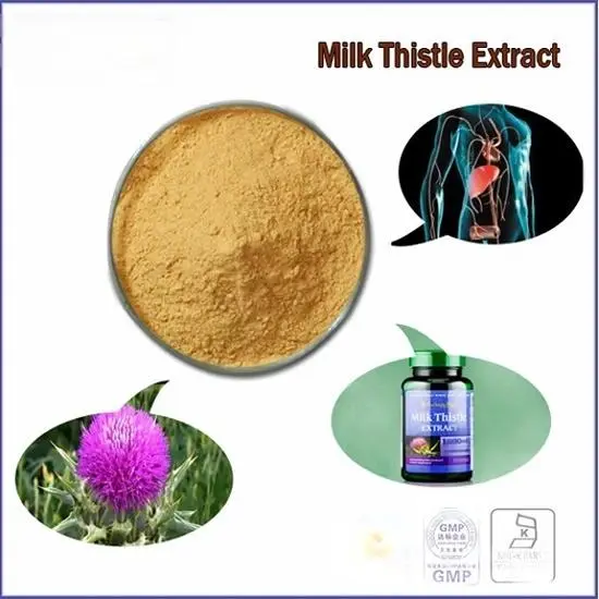 Milk Thistle Extract Powder Product Description Milk Thistle Extract Powder Product Description
