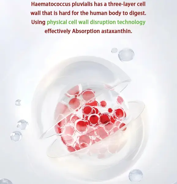 Haematococcus Pluvialis Powder Product Description