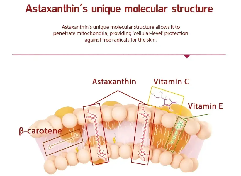 Haematococcus Pluvialis Powder Product Description Haematococcus Pluvialis Powder Product Description