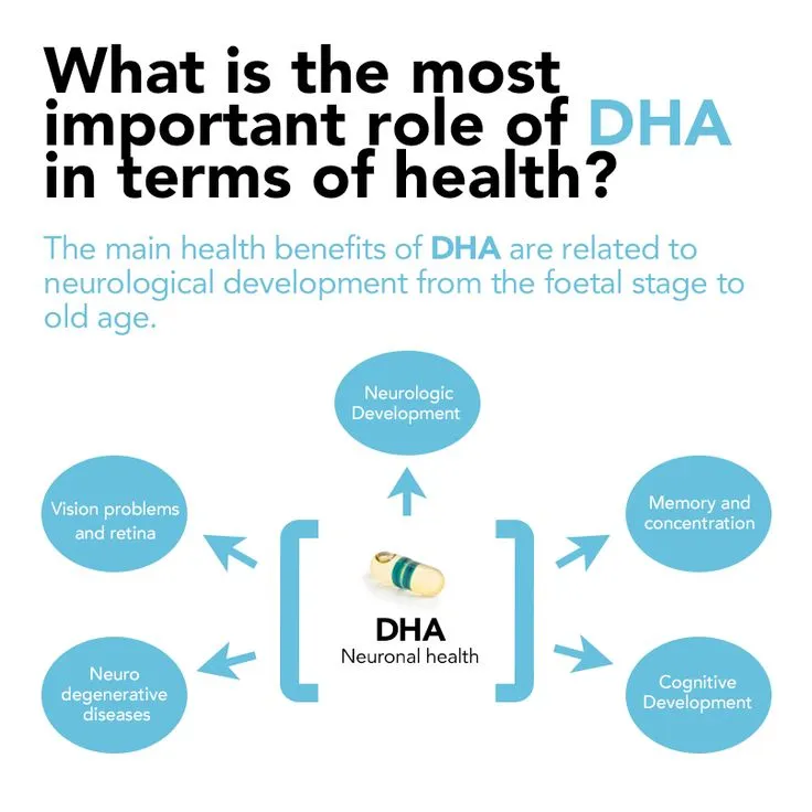 DHA Powder Product Description