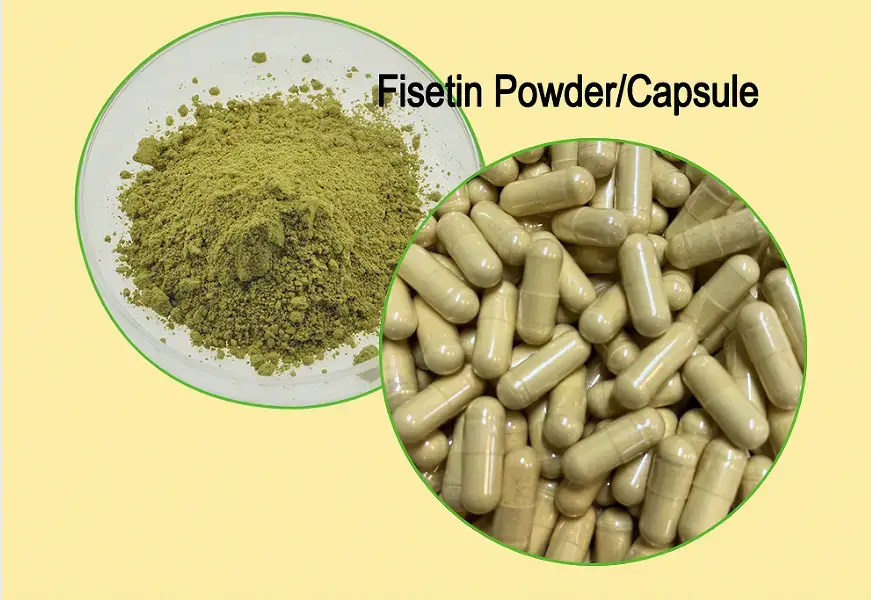 Fisetin Powder Bulk Uses in Neuroprotection and Anti-Aging Formulas Fisetin Powder Bulk Uses in Neuroprotection and Anti-Aging Formulas