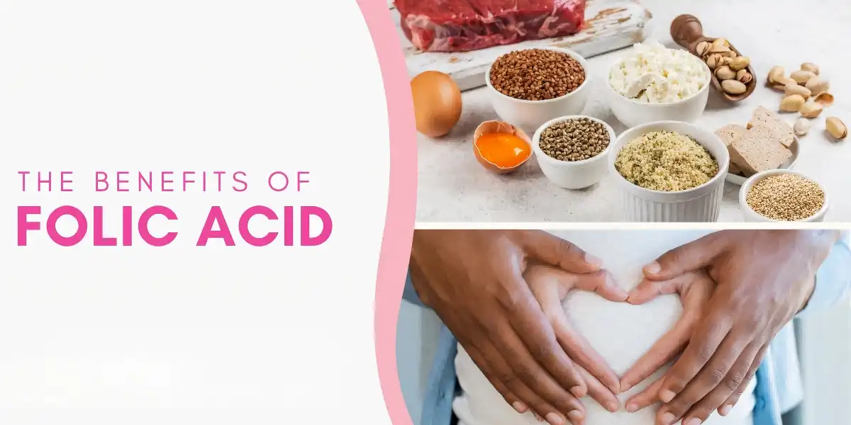 Folic Acid Powder – Best Choice for Global Brands