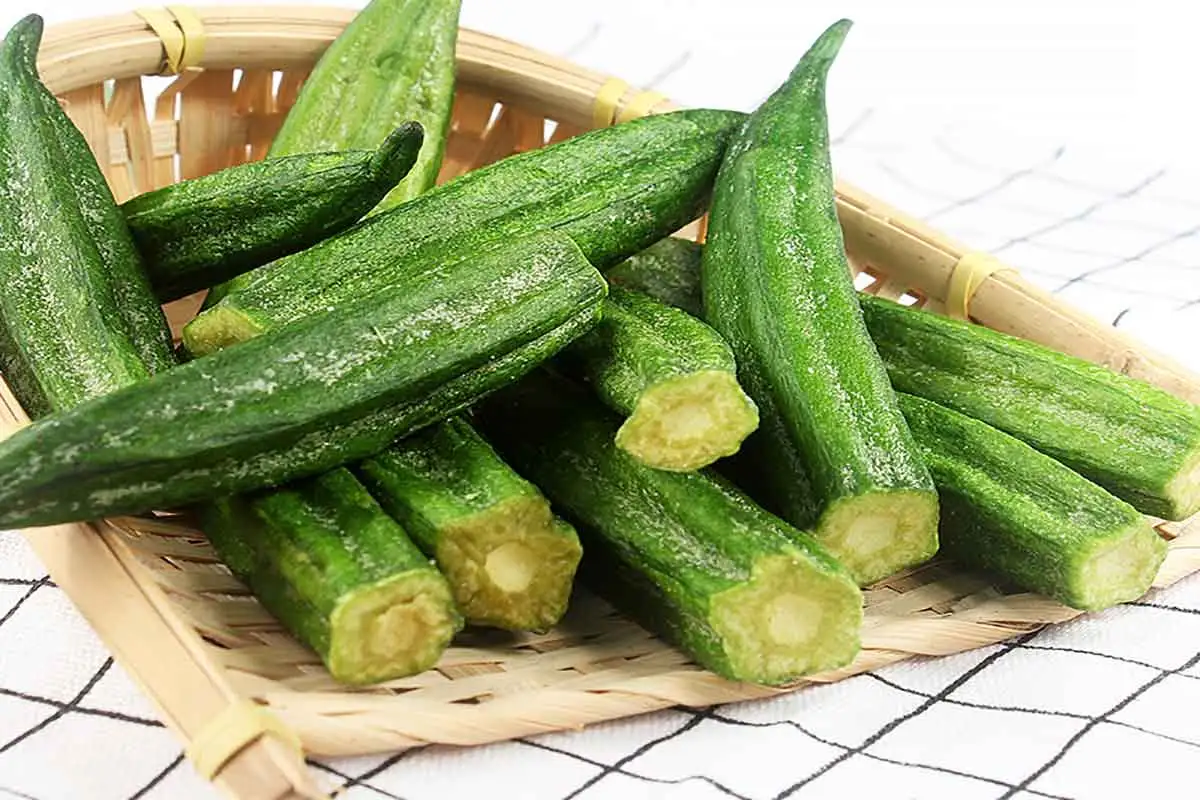 Freeze Dried Okra is a snack or ingredient made through freeze-drying technology, and it is popular for its crispy texture and high retention of nutrients. Freeze Dried Okra is a snack or ingredient made through freeze-drying technology, and it is popular for its crispy texture and high retention of nutrients.