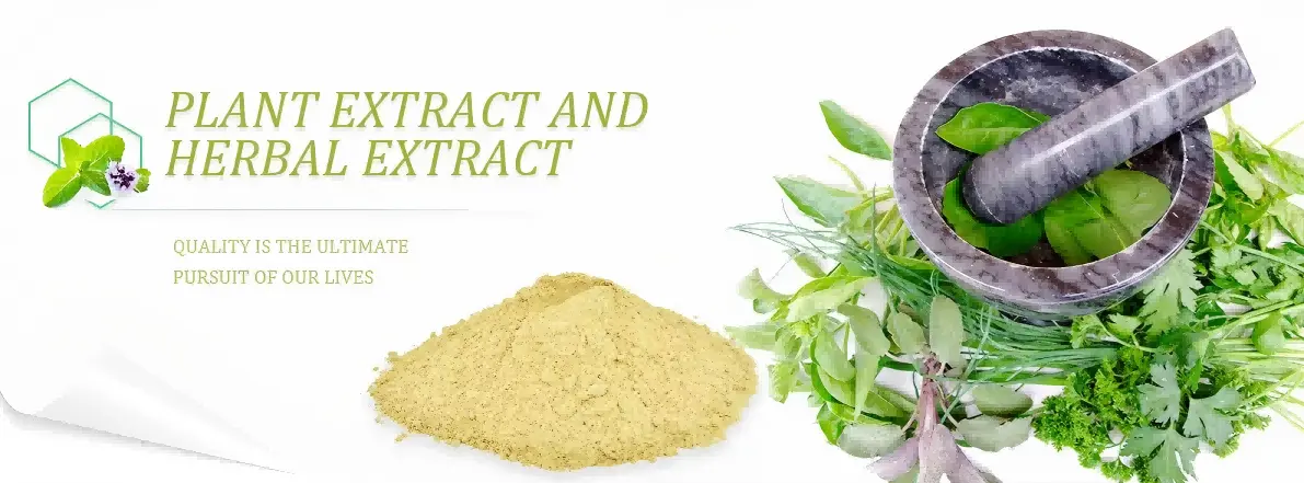 Rehmannia Glutinosa Extract Powder Product Description Rehmannia Glutinosa Extract Powder Product Description