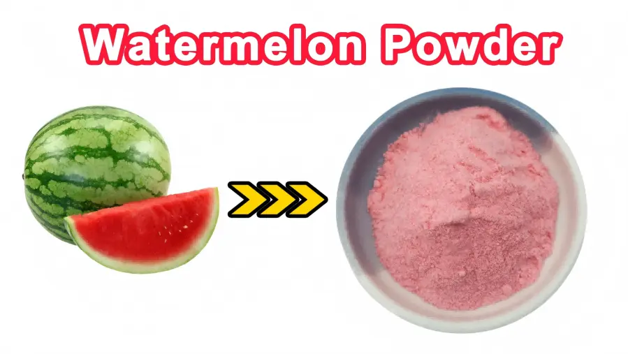 Frozen-Dry Watermelon Juice Instant Drink Powder Frozen-Dry Watermelon Juice Instant Drink Powder
