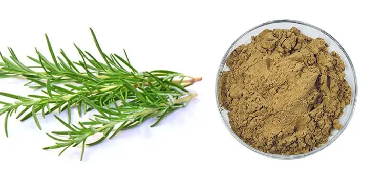Rosemary extract powder Product Description Rosemary extract powder Product Description