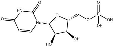 Prodcut Description Uridine 5-Monophosphate Powder Prodcut Description Uridine 5-Monophosphate Powder