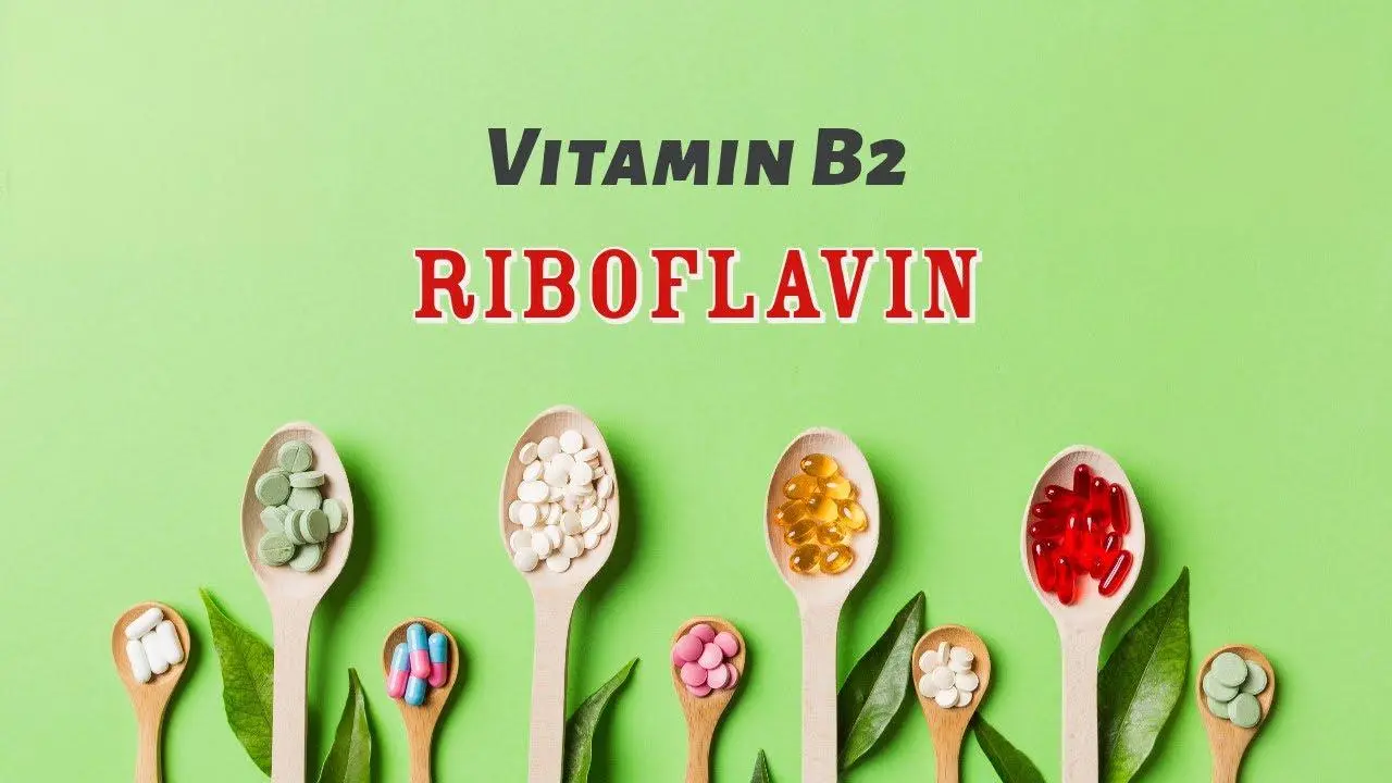Riboflavin​​​​​​​ Powder Product Description