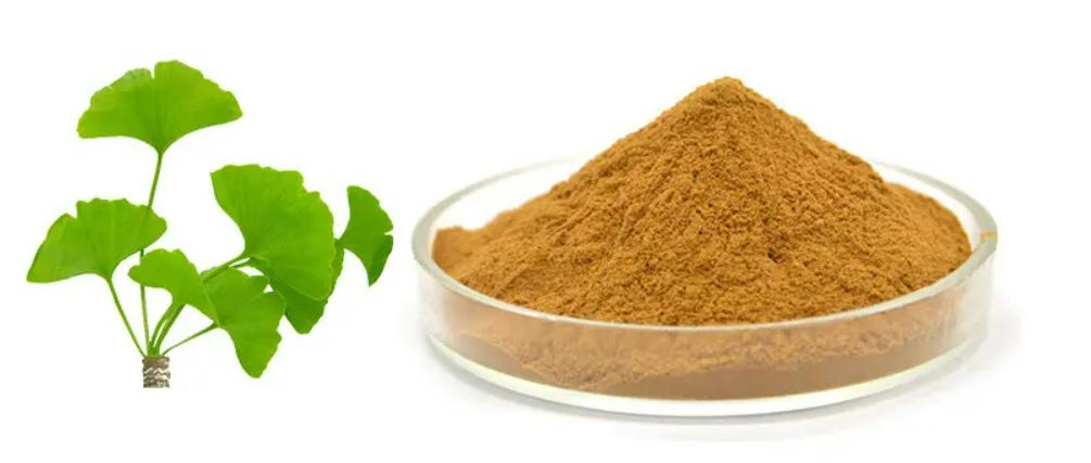 Ginkgo Biloba Extract Powder Product Description