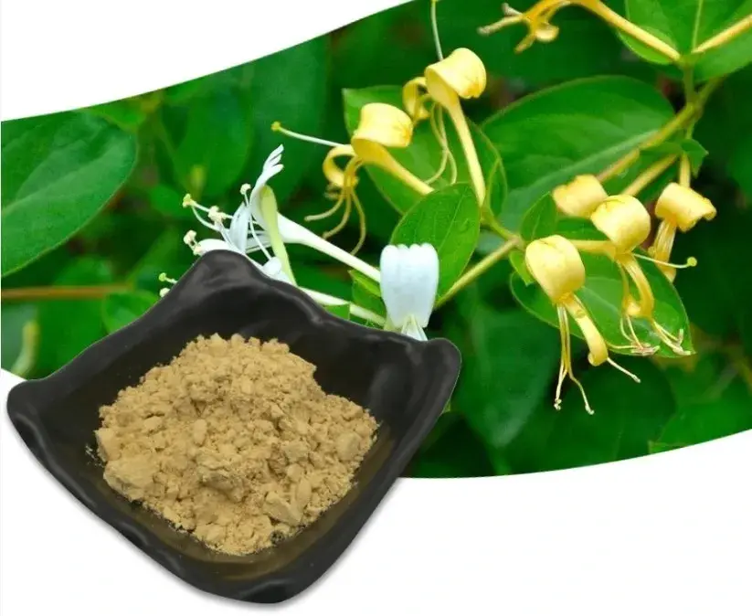 Honeysuckle Extract Powder Product Description Honeysuckle Extract Powder Product Description
