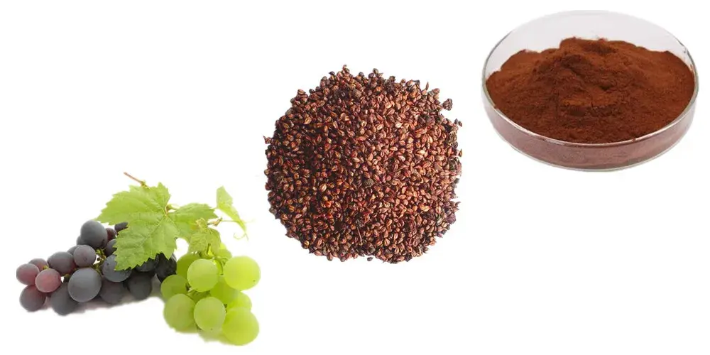 Grape Seed Extract Powder Product Description Grape Seed Extract Powder Product Description
