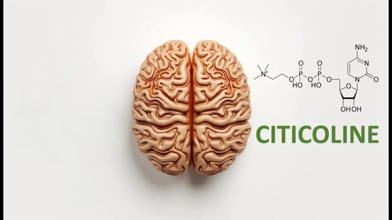 Does Citicoline Powder Help with Focus & Learning? Does Citicoline Powder Help with Focus & Learning?