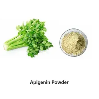 Apigenin Bulk Powder for Antioxidant & Anti-Inflammatory Support