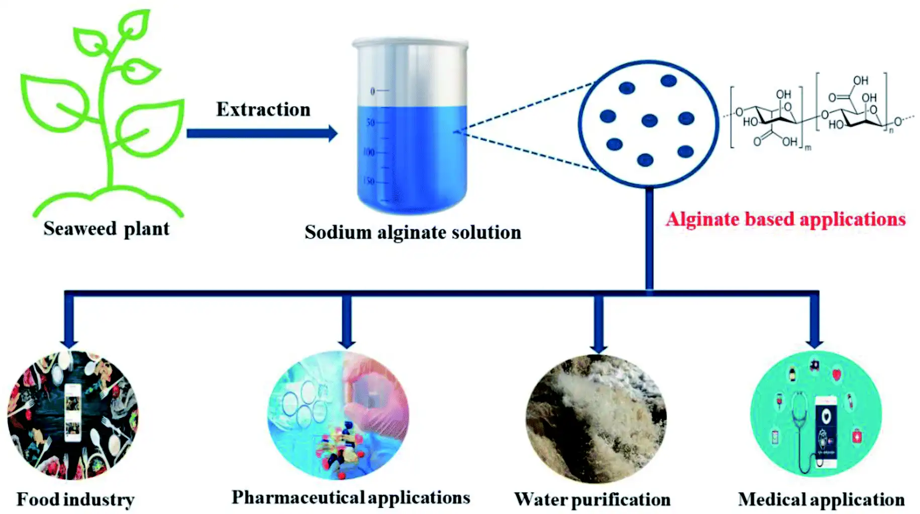 How to Select the Right Sodium Alginate Bulk Supplier?